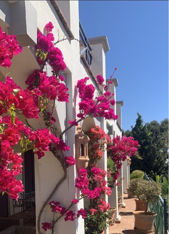 Boutique Hotel Maravilla - Marbella Benahavis Exterior photo