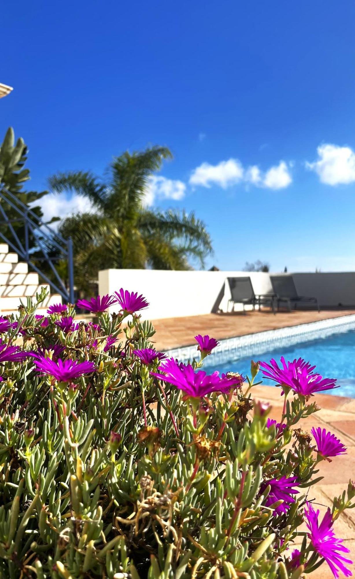 Boutique Hotel Maravilla - Marbella Benahavis Exterior photo