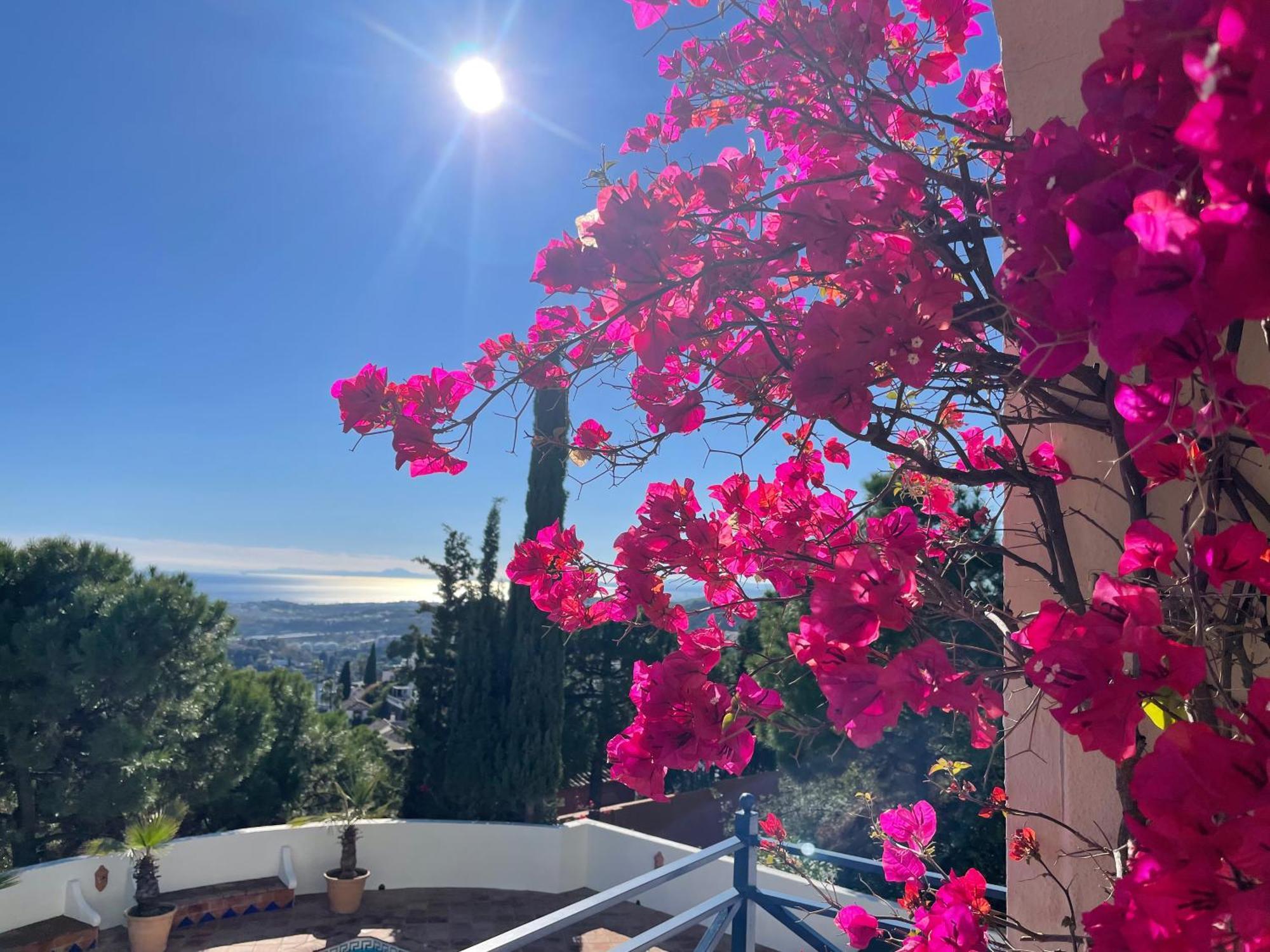 Boutique Hotel Maravilla - Marbella Benahavis Exterior photo