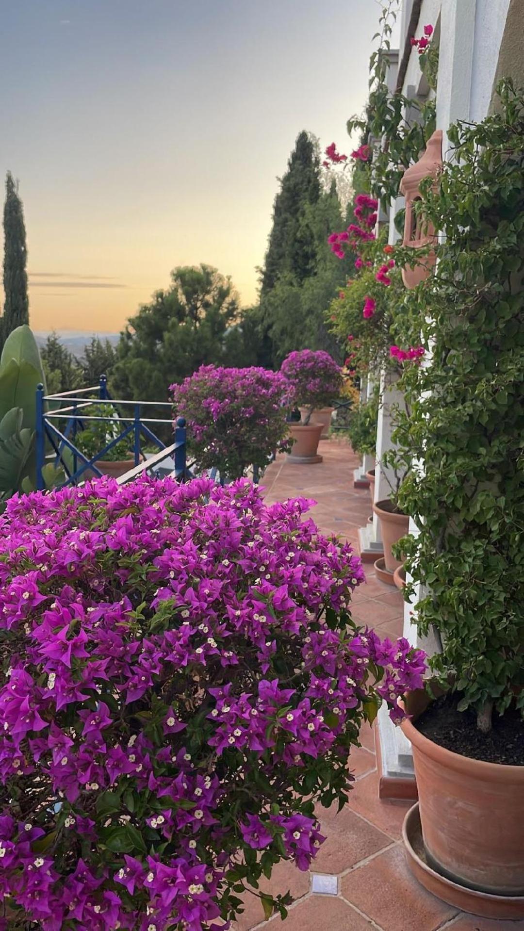Boutique Hotel Maravilla - Marbella Benahavis Exterior photo